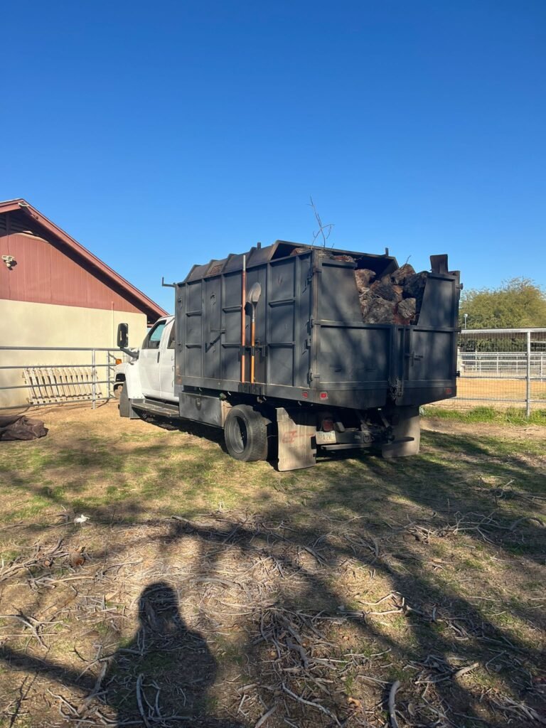 TREE SERVICES VALLE DEL SOL 2023 2024 (8)