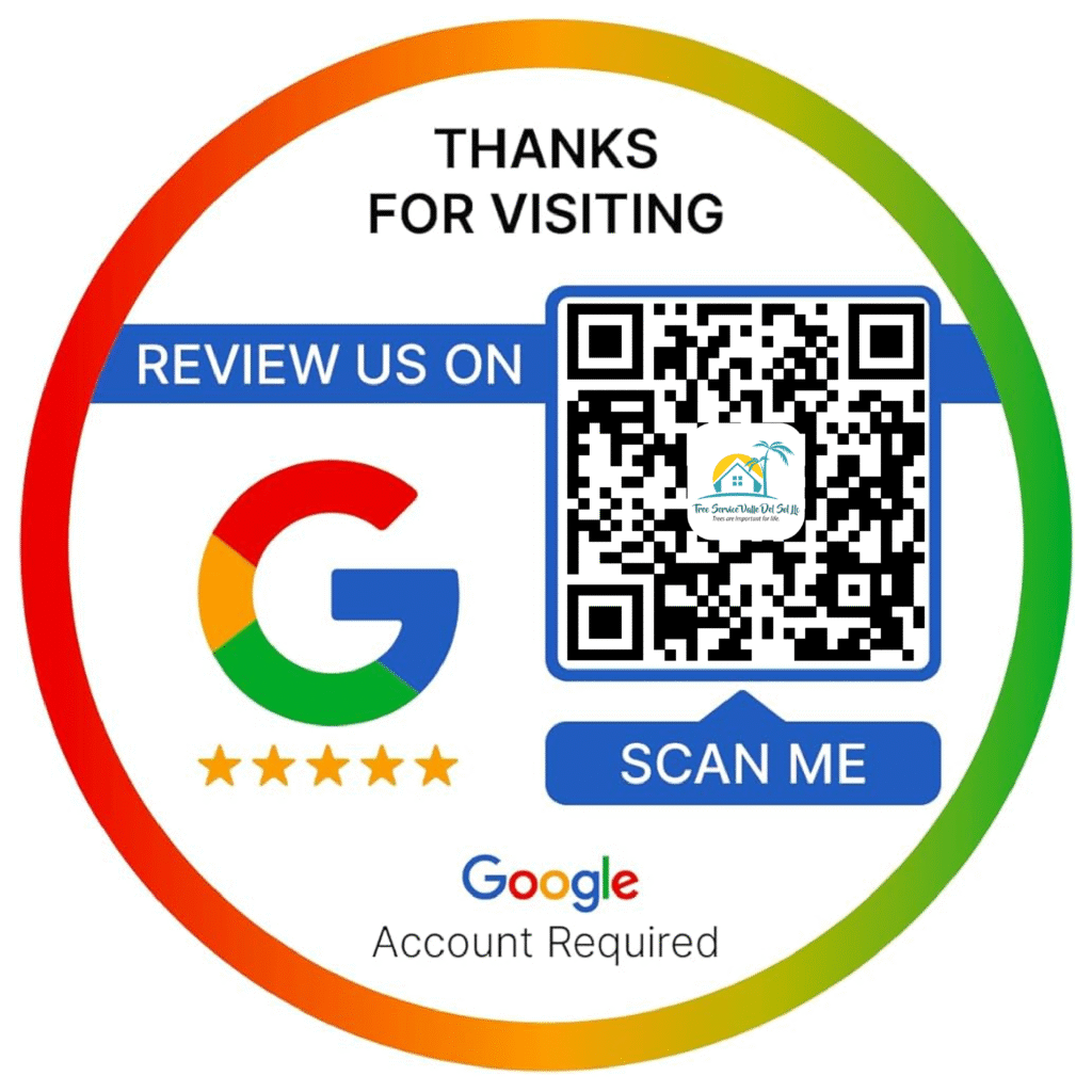 qr google plantilla 01