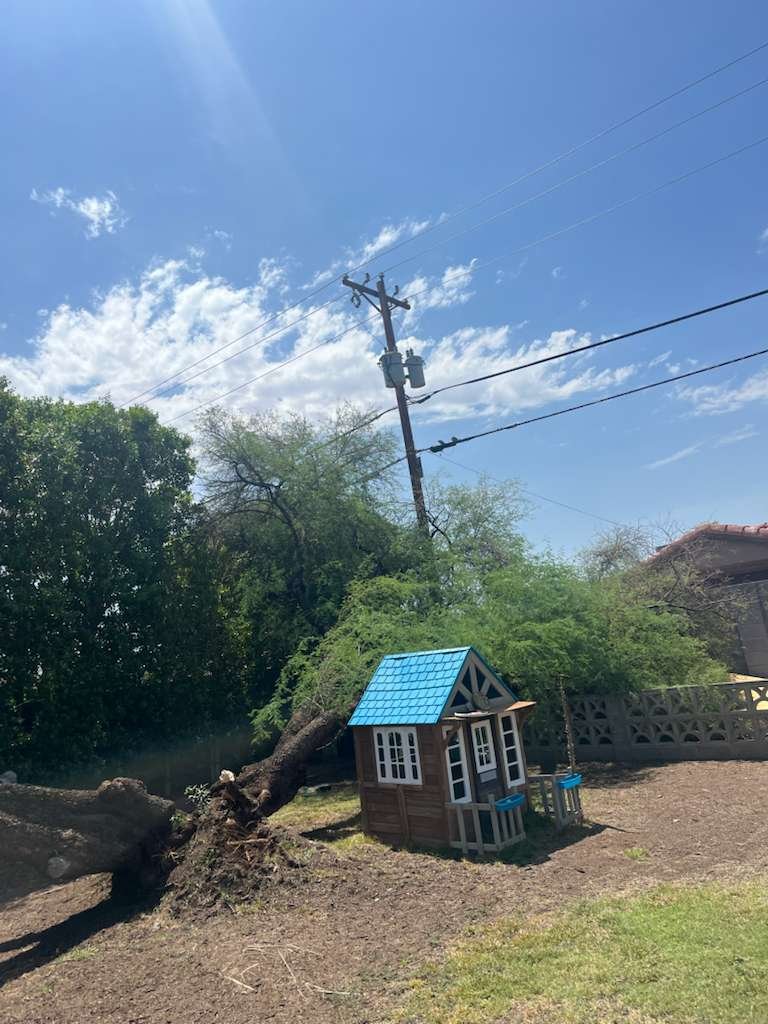 Tree Service Valle Del Sol LLC (121)