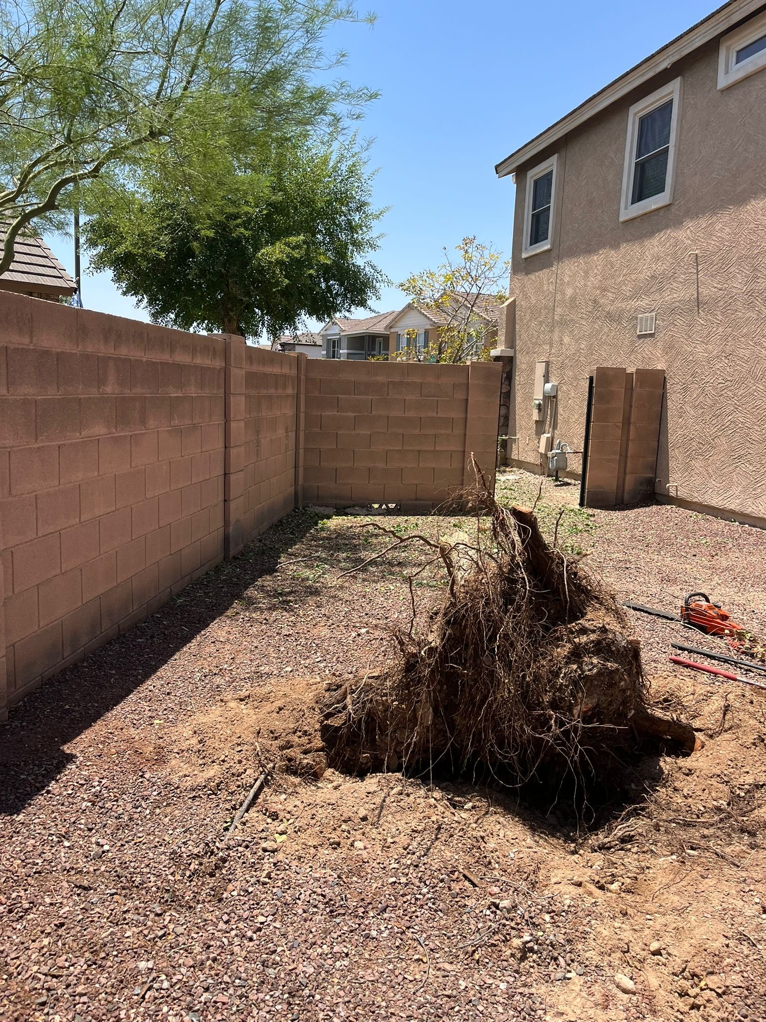 Tree Service Valle Del Sol LLC (63)
