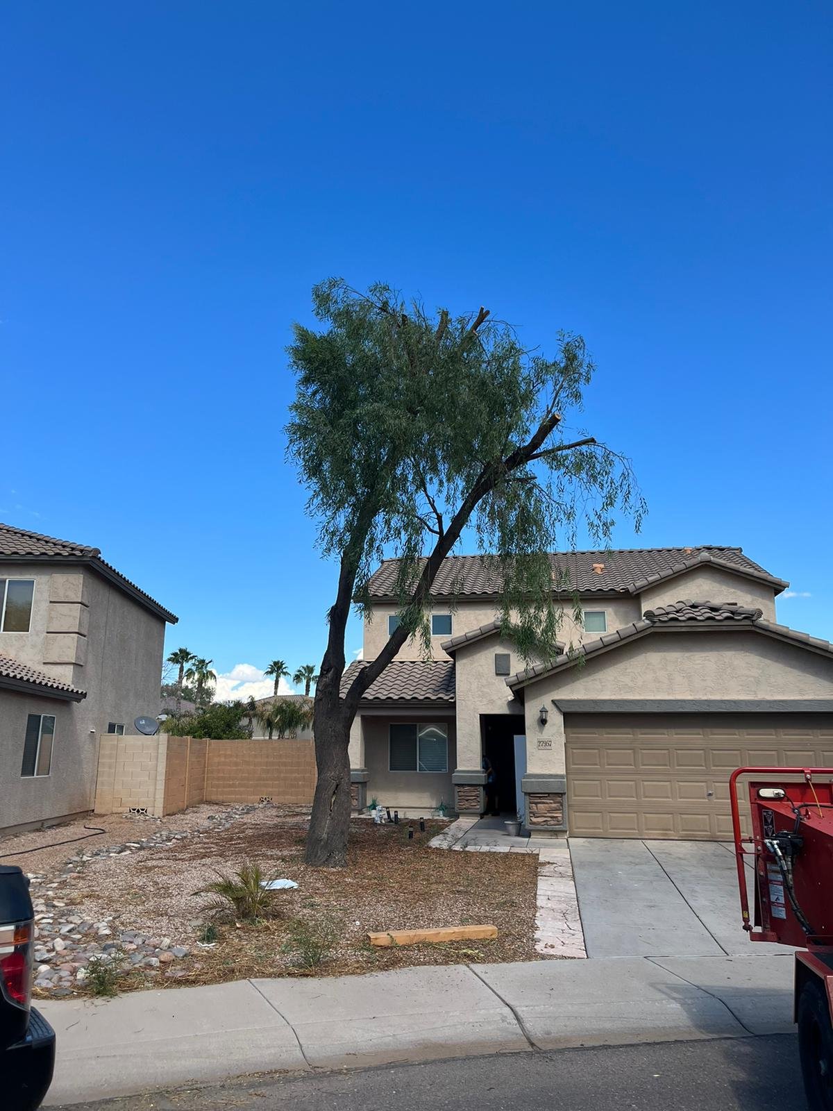 Tree Service Valle Del Sol LLC (74)