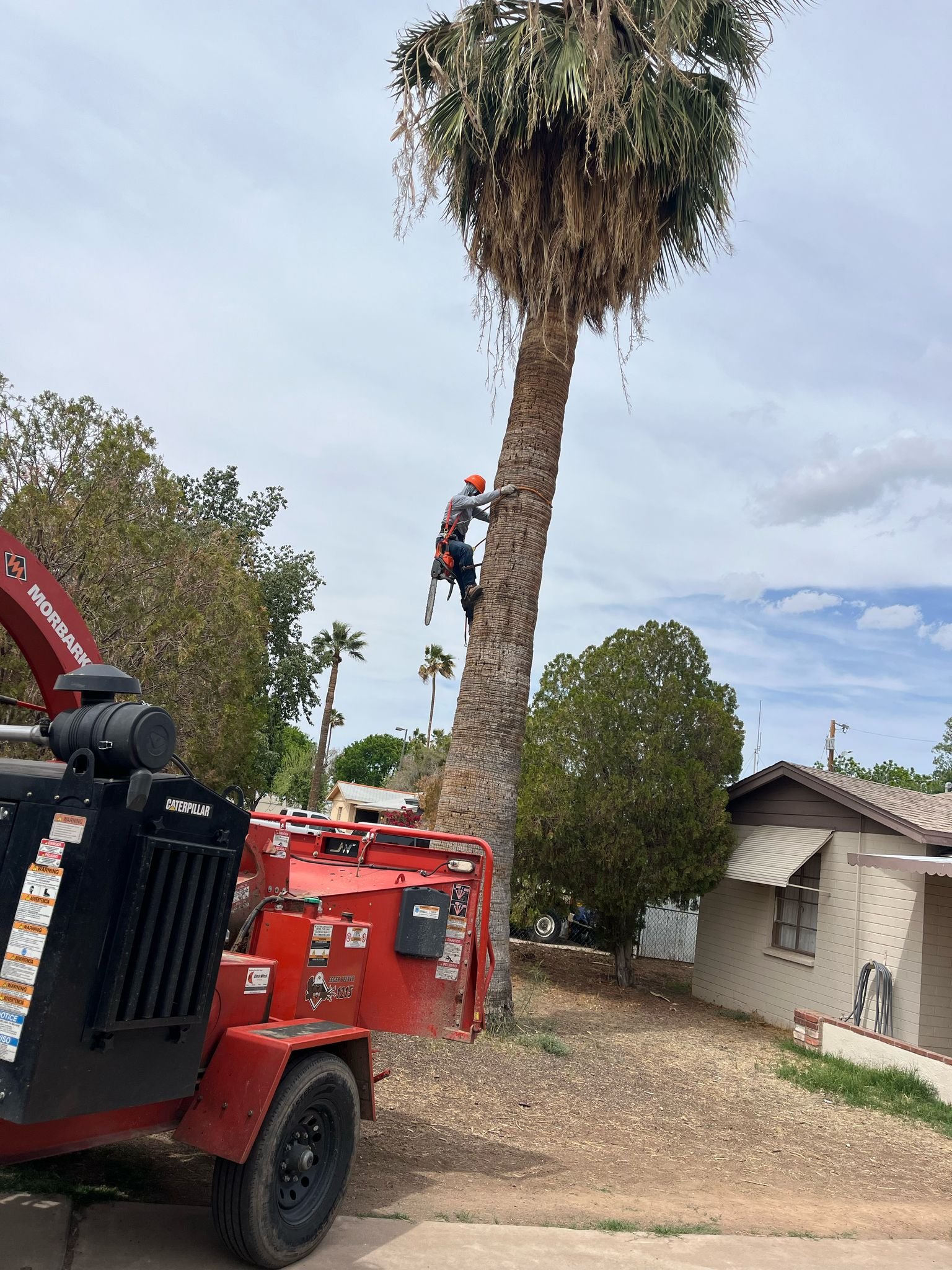 Tree Service Valle Del Sol LLC (82)