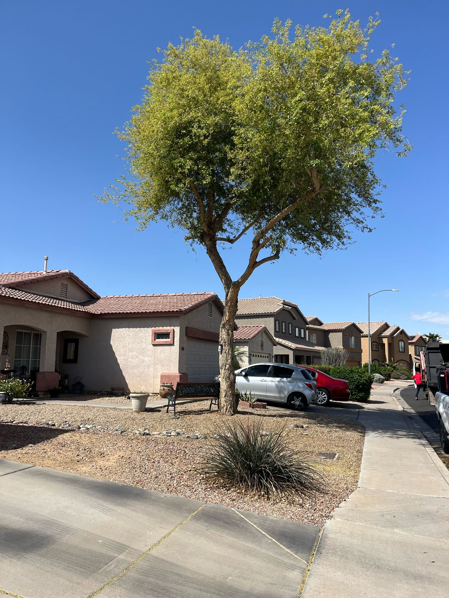 Tree Service Valle Del Sol LLC (87)