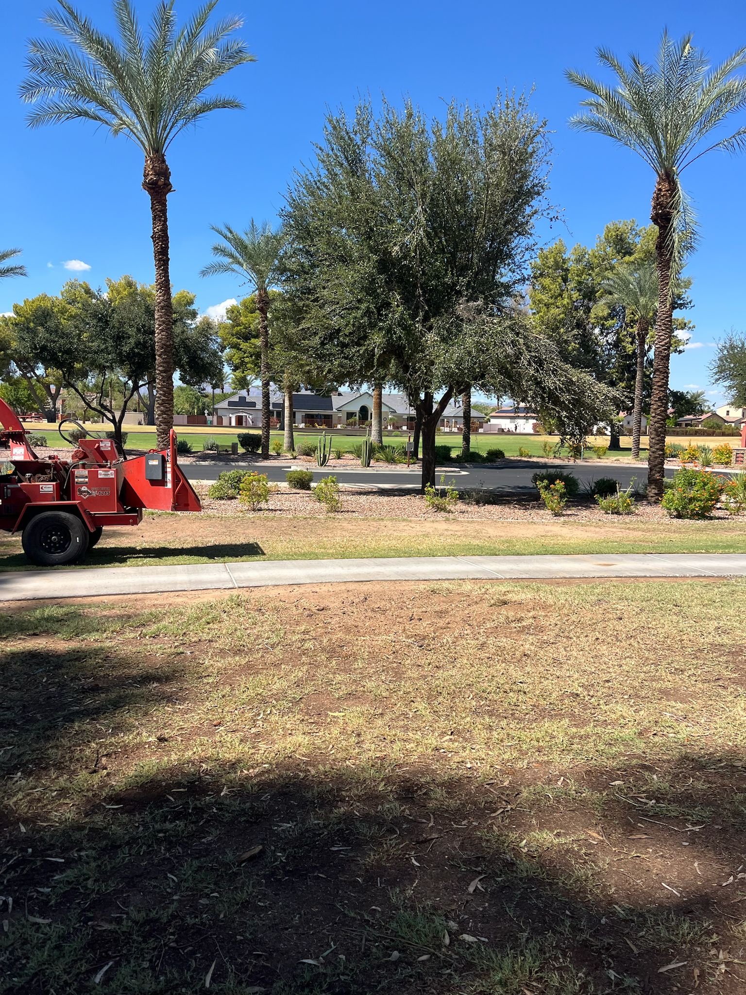 Tree Service Valle Del Sol LLC (93)